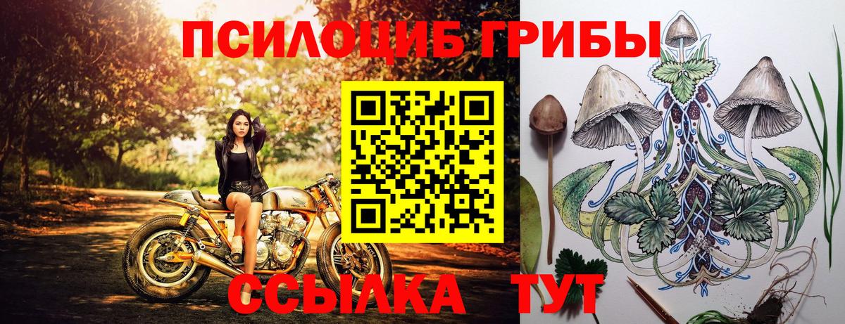 Галлюциногенные грибы Magic Shrooms Славгород