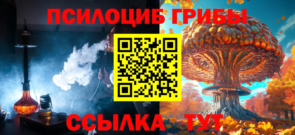 Галлюциногенные грибы Cubensis  Вход с VPN  Славгород 